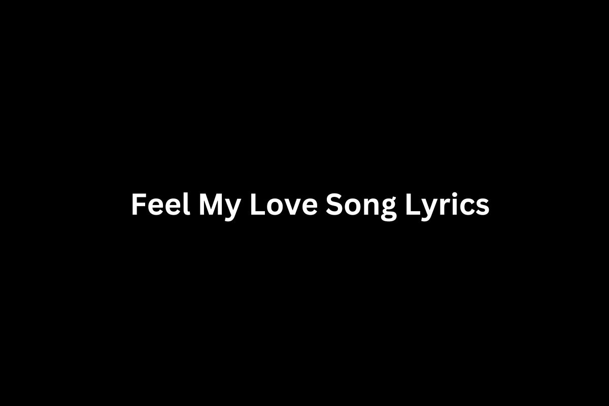 Feel My Love Song Lyrics